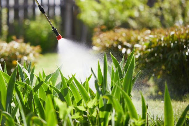 24/7 Emergency Wasp Removal experts in Squaw Valley, CA