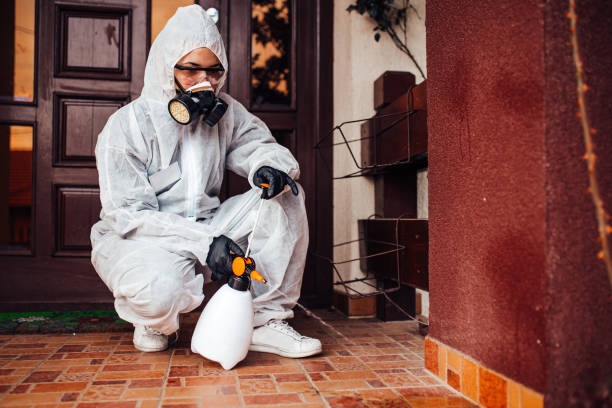Reliable Wasp Removal contractor in Squaw Valley, CA by Show Me Pest Control